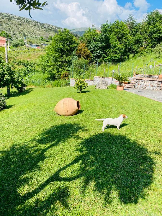 B&B Girasole Torraca Екстер'єр фото